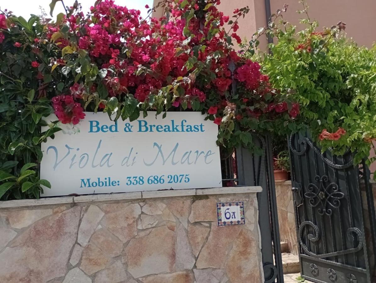 Viola Di Mare Rooms And Parking Termoli Exterior foto